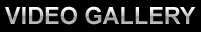 Video Gallery
